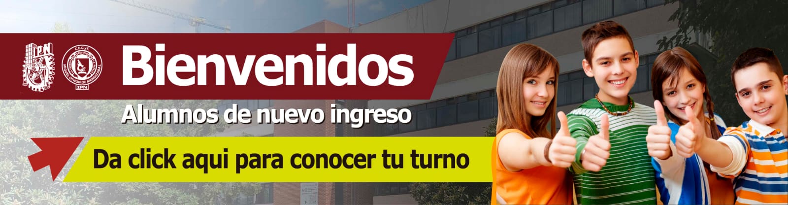 turno-271